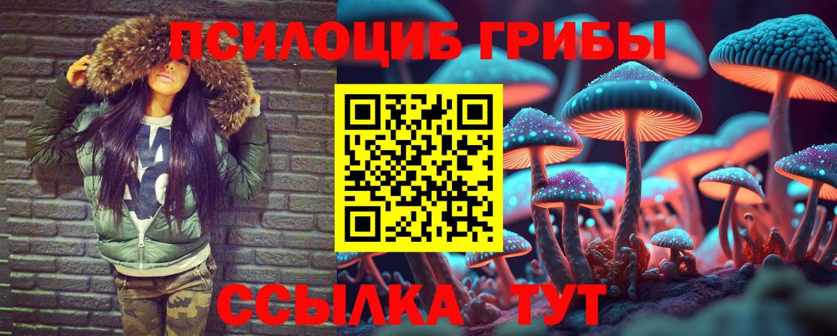 Псилоцибиновые грибы GOLDEN TEACHER  Вход с VPN  Нефтекумск 